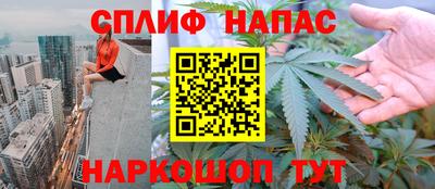 стаф Кулебаки