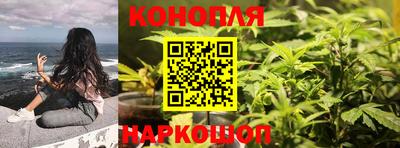 стаф Кулебаки