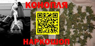 стаф Кулебаки