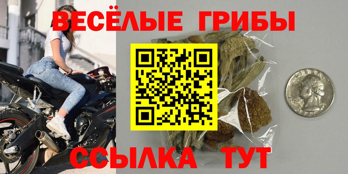 Фролово  Псилоцибиновые грибы прущие грибы  магазин    Вход с VPN  Галлюциногенные грибы GOLDEN TEACHER 
